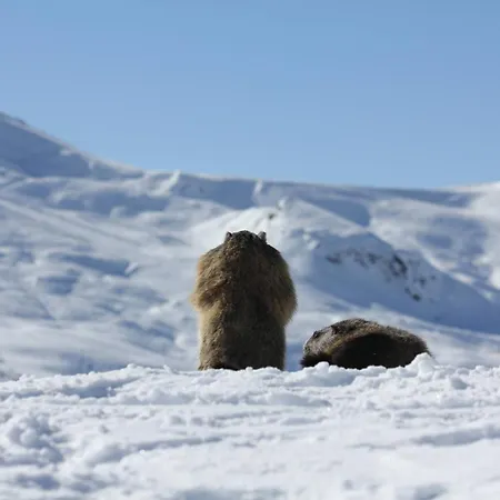 Alojamento de Acomodação e Pequeno-almoço Haus Am Rain